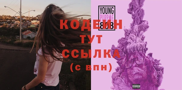 прущий лед Белокуриха