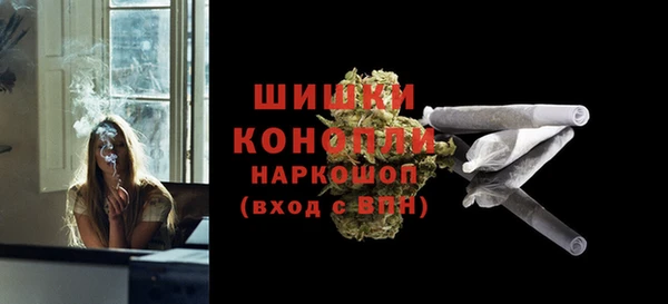 сатива Елизово